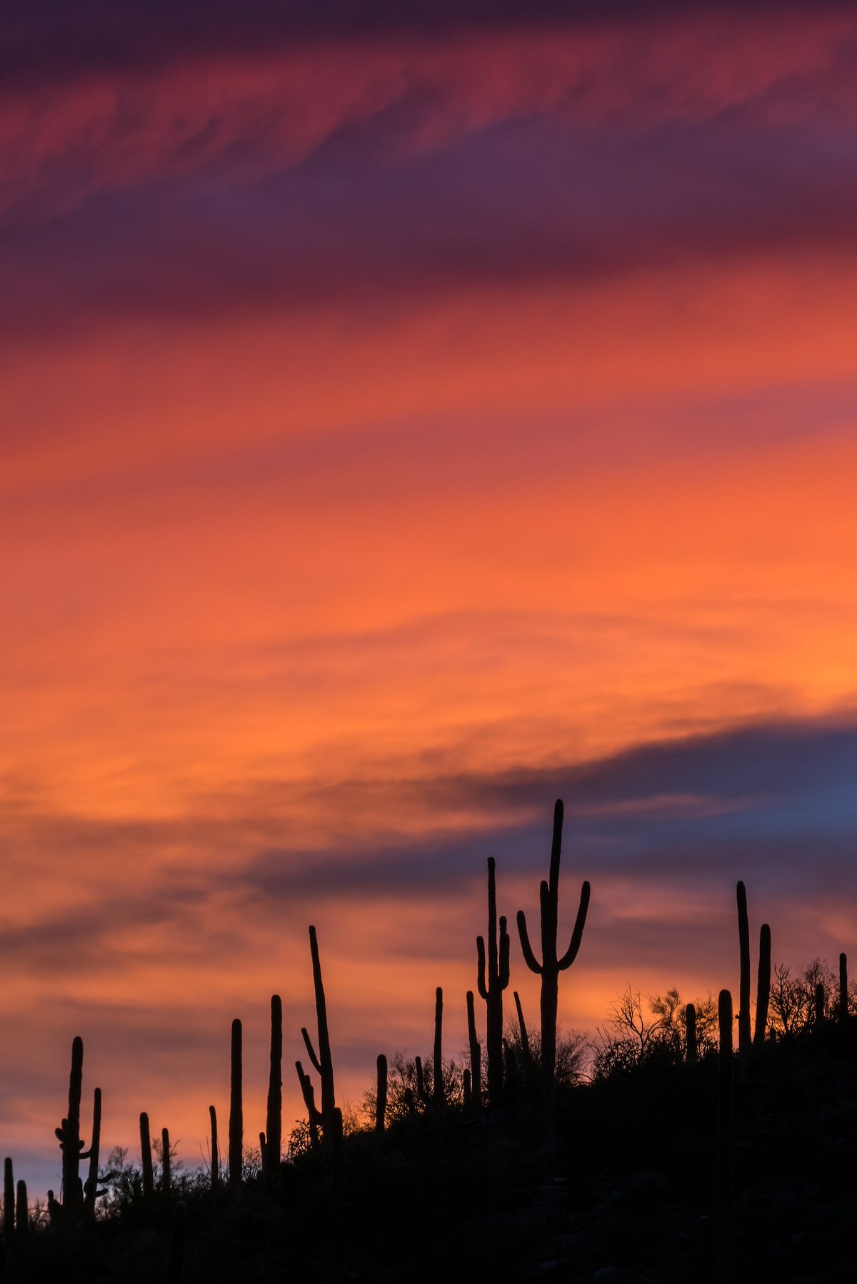 2017 November Sabino Sunset 01