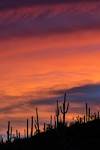 2017 November Sabino Sunset 01
