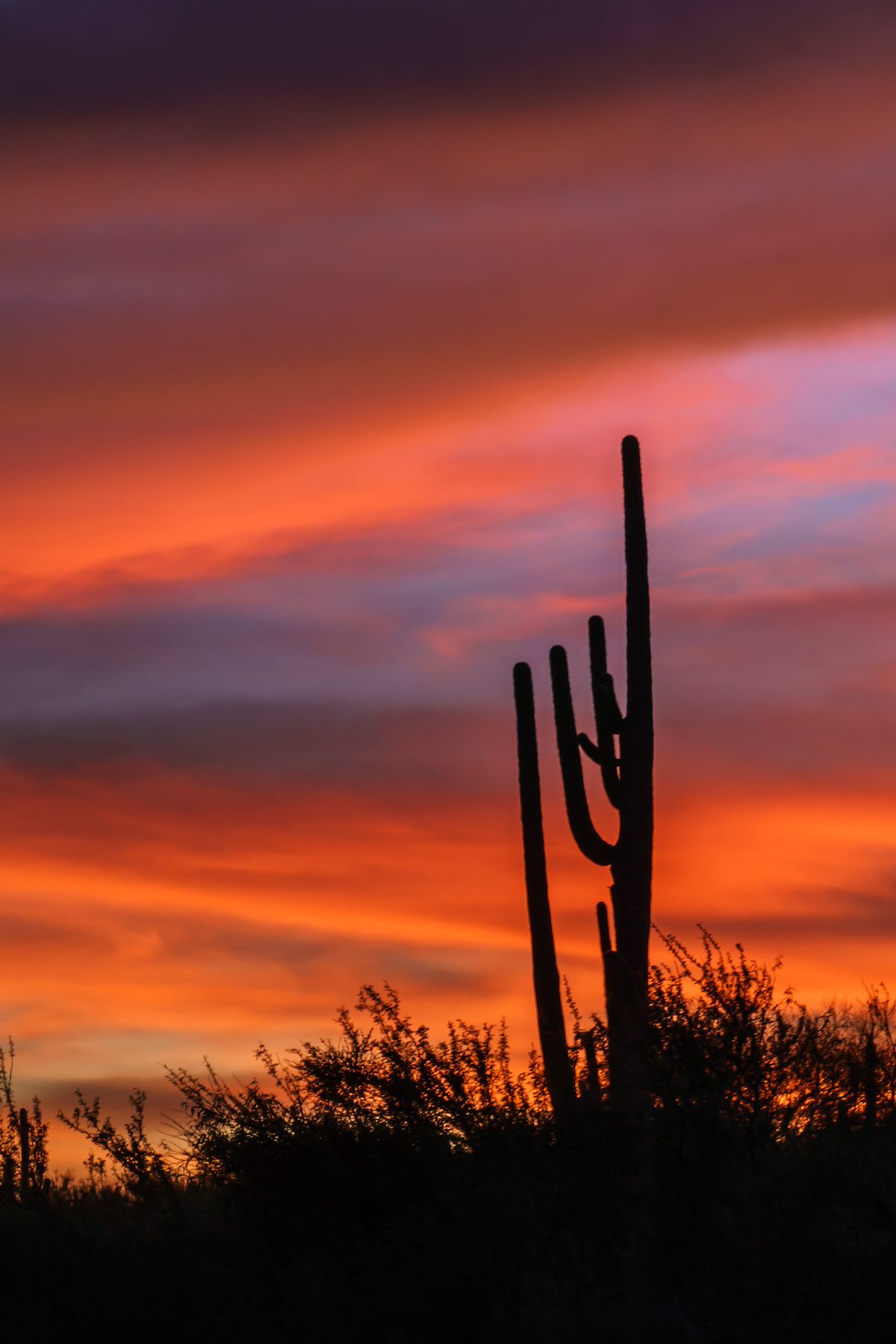 2017 November Sabino Sunset 02