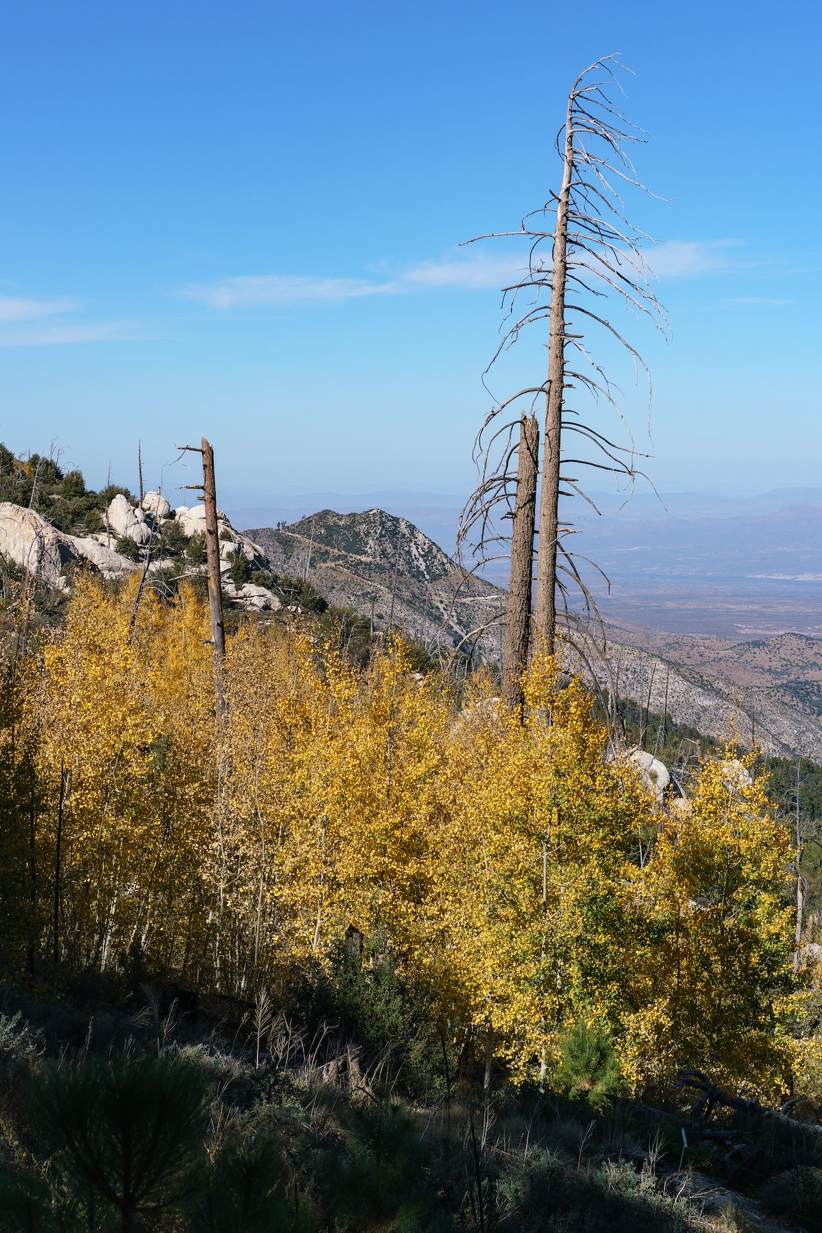 2017 October Aspen and Marble Peak from near the Box Elder Picnic Area