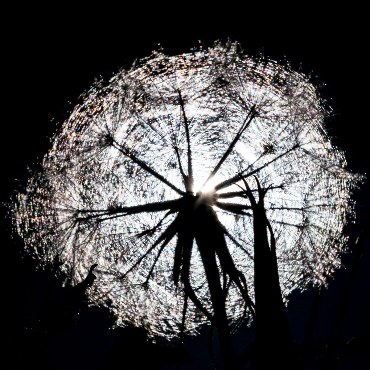 2017 October In the Sun