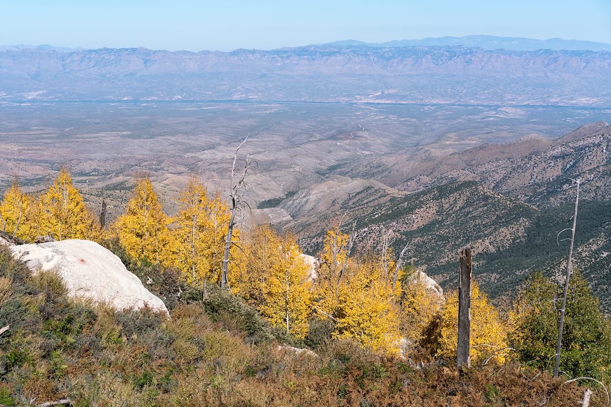 2017 October Looking down on the San Pedro River Valley from below the Box Elder Picnic Area
