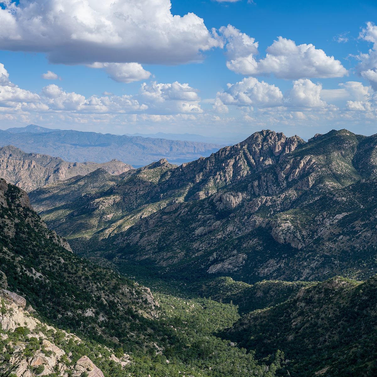 2017 September Above Romero Pass looking down the West Fork of Sabino Canyon