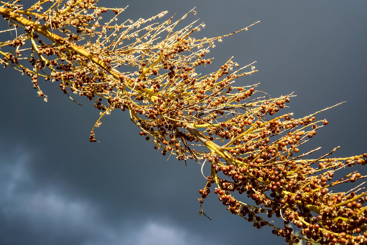 2017 September Across the Trail