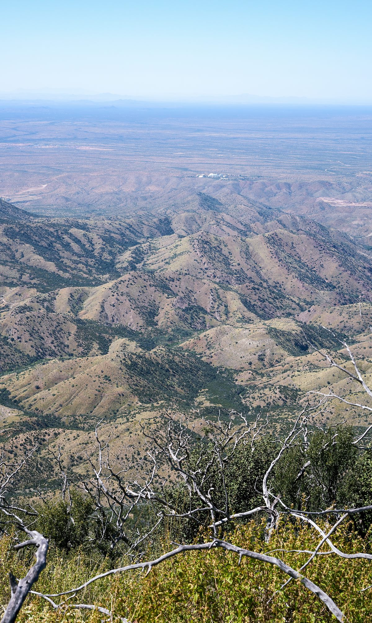2017 September Biosphere from Rice Peak