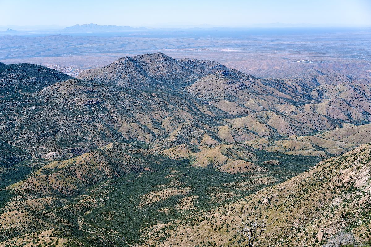 2017 September Looking down into the Canada del Oro from the Oracle Ridge Trail