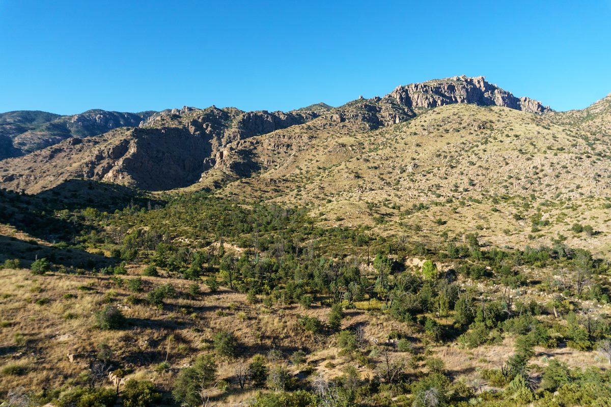 2017 September Looking down on Sycamore Canyon from the Bear Canyon Shortcut Trail