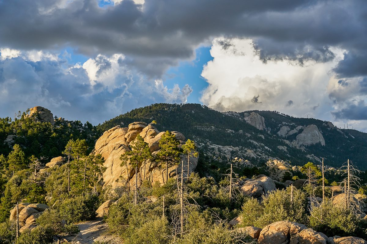 2017 September Near the Wilderness of Rock Junction on the Mount Lemmon Trail