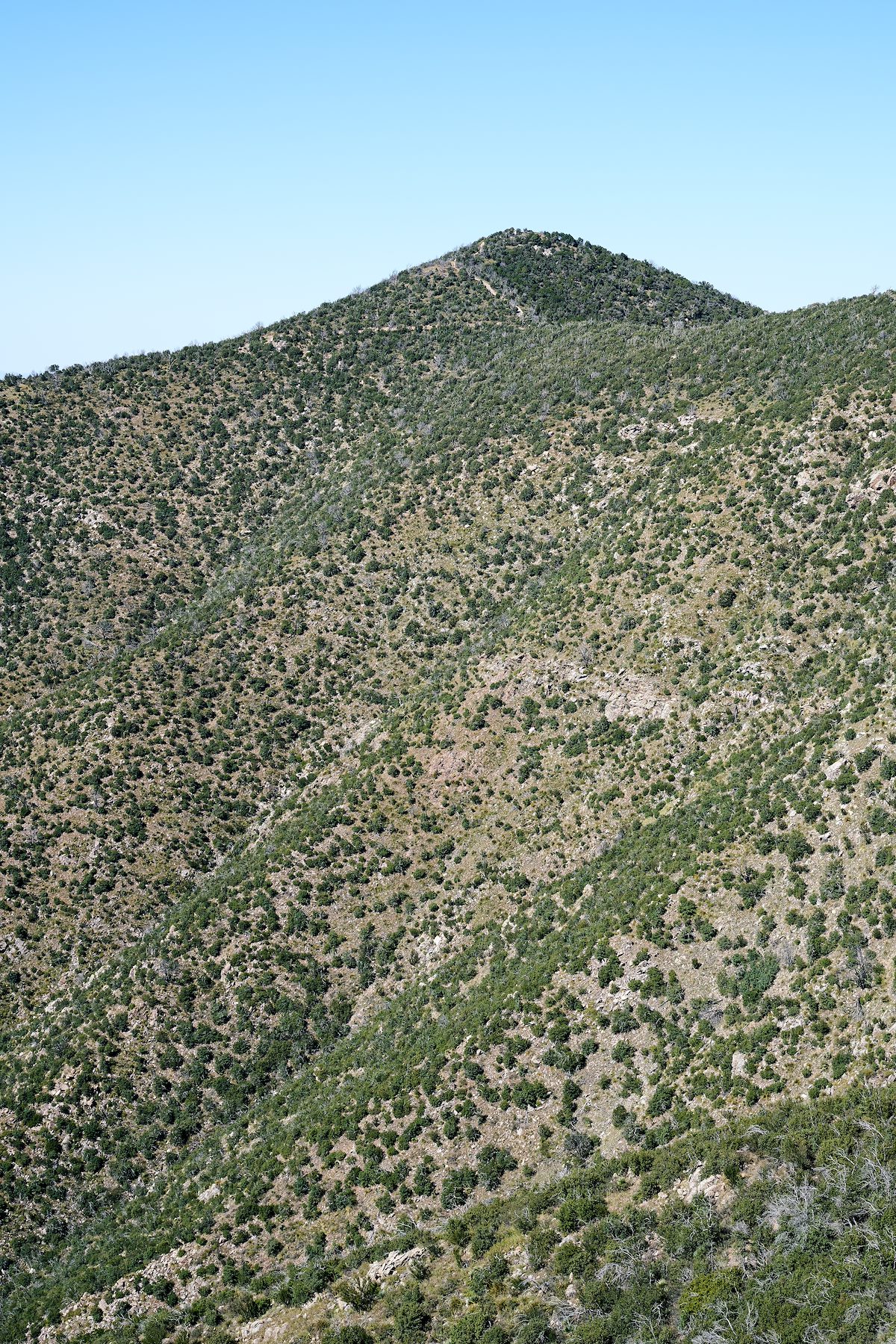 2017 September Rice Peak from the Oracle Ridge Trail