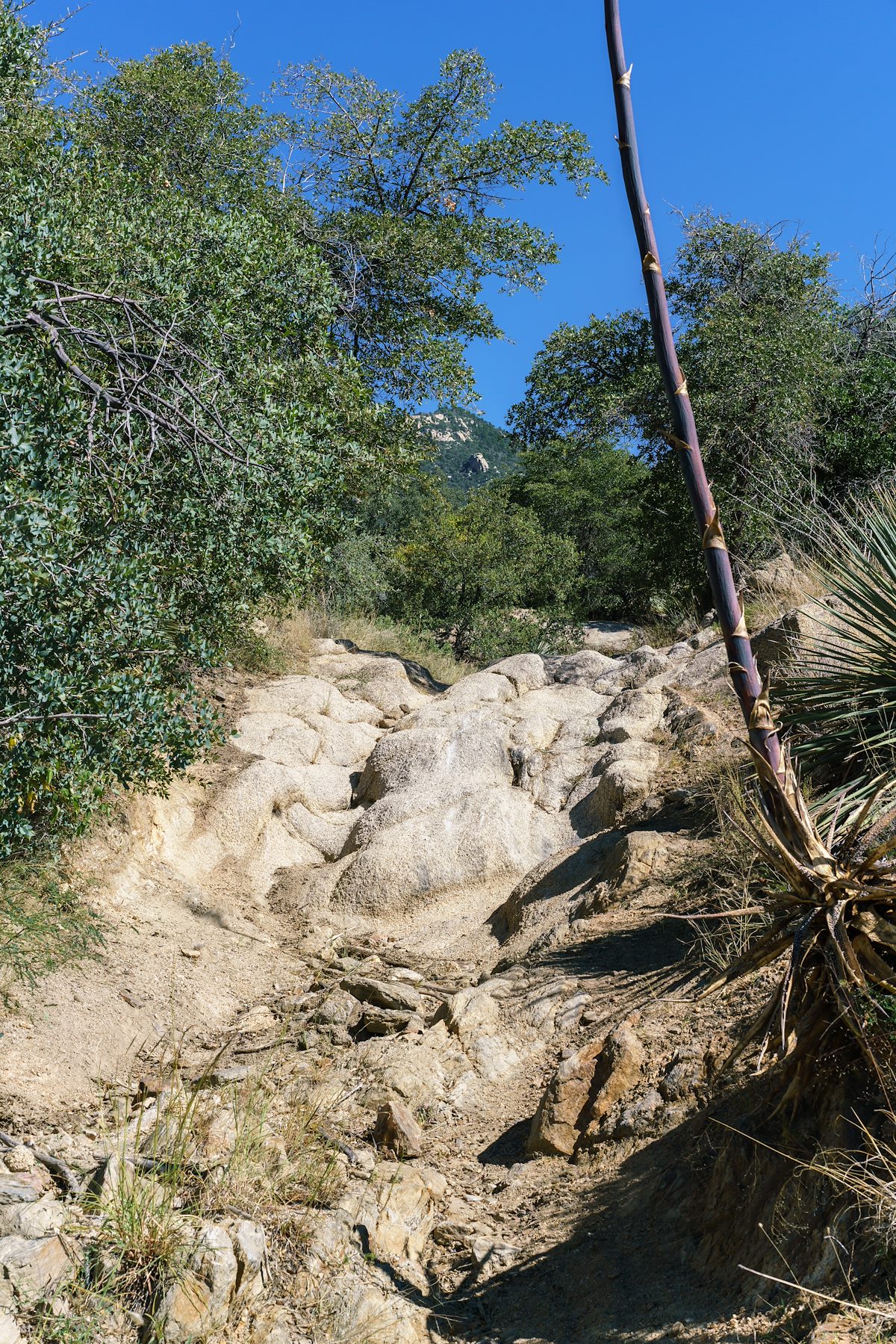 2017 September Road Conditions to the Sutherland Trailhead