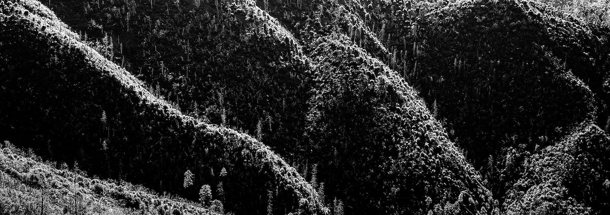 2017 September Sun on the Ridges