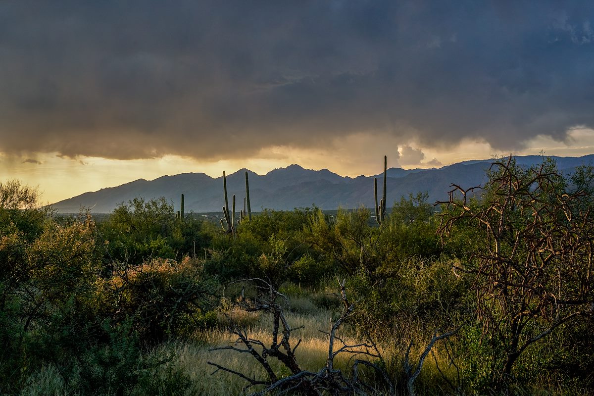 2017 September Sunset In Saguaro National Park