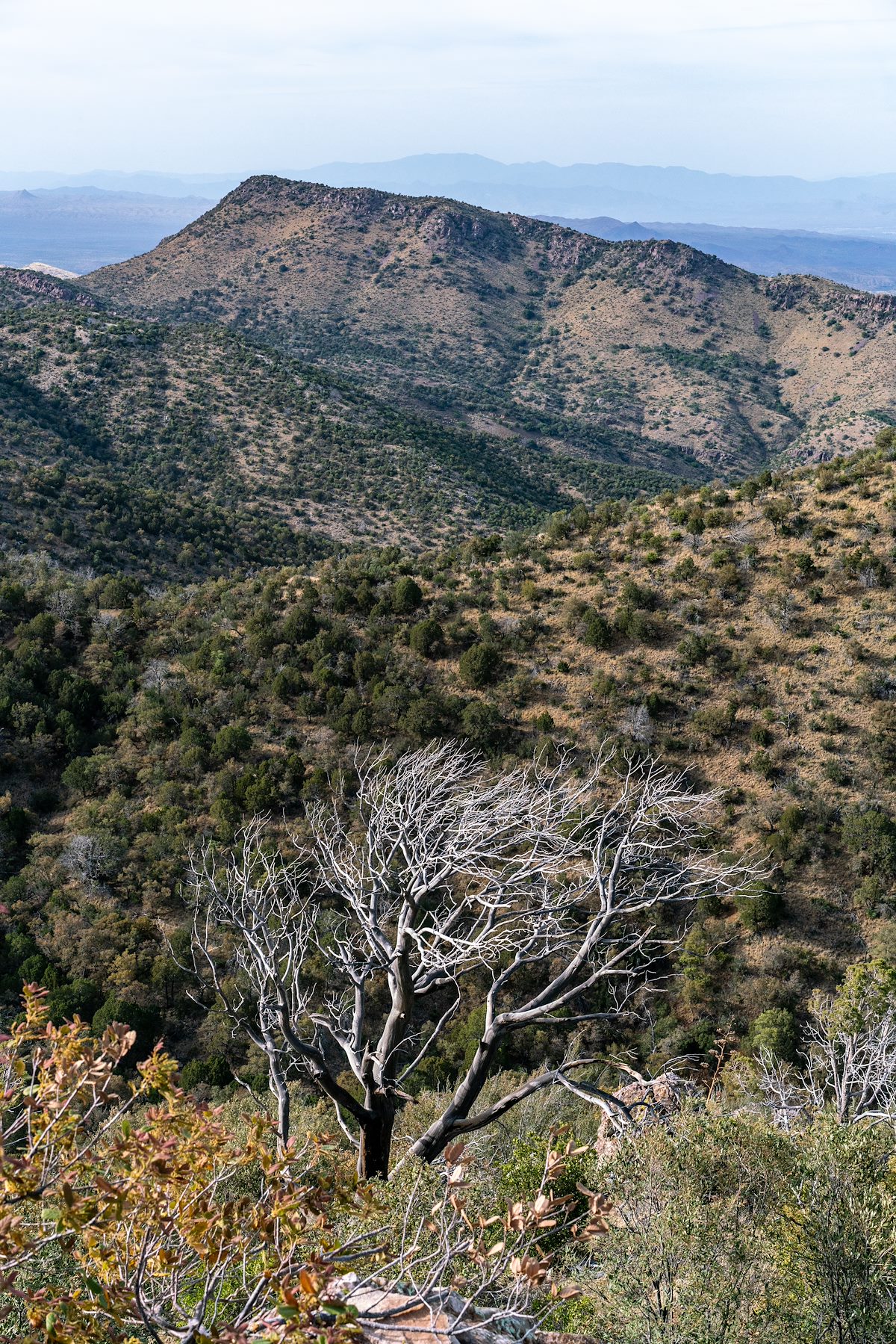 2018 April Apache Peak a High Point off FR4475