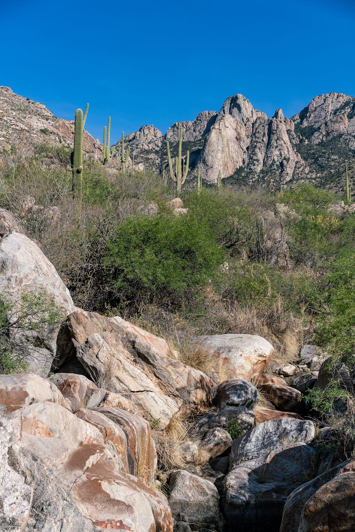 2018 April Leviathan Dome from Alamo Canyon Loop