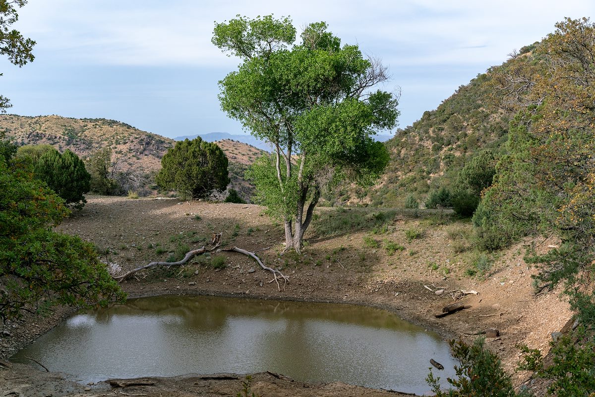 2018 April Unnamed Tank near FR4475 and FR772