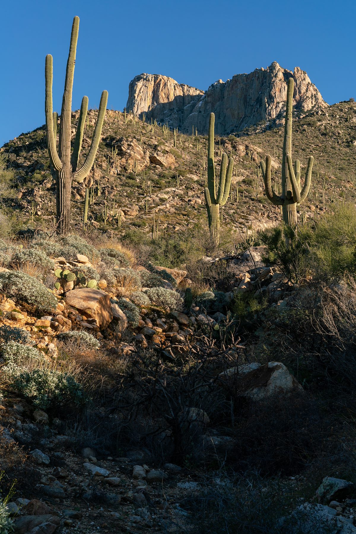 2018 December In the bottom of Catchment Canyon