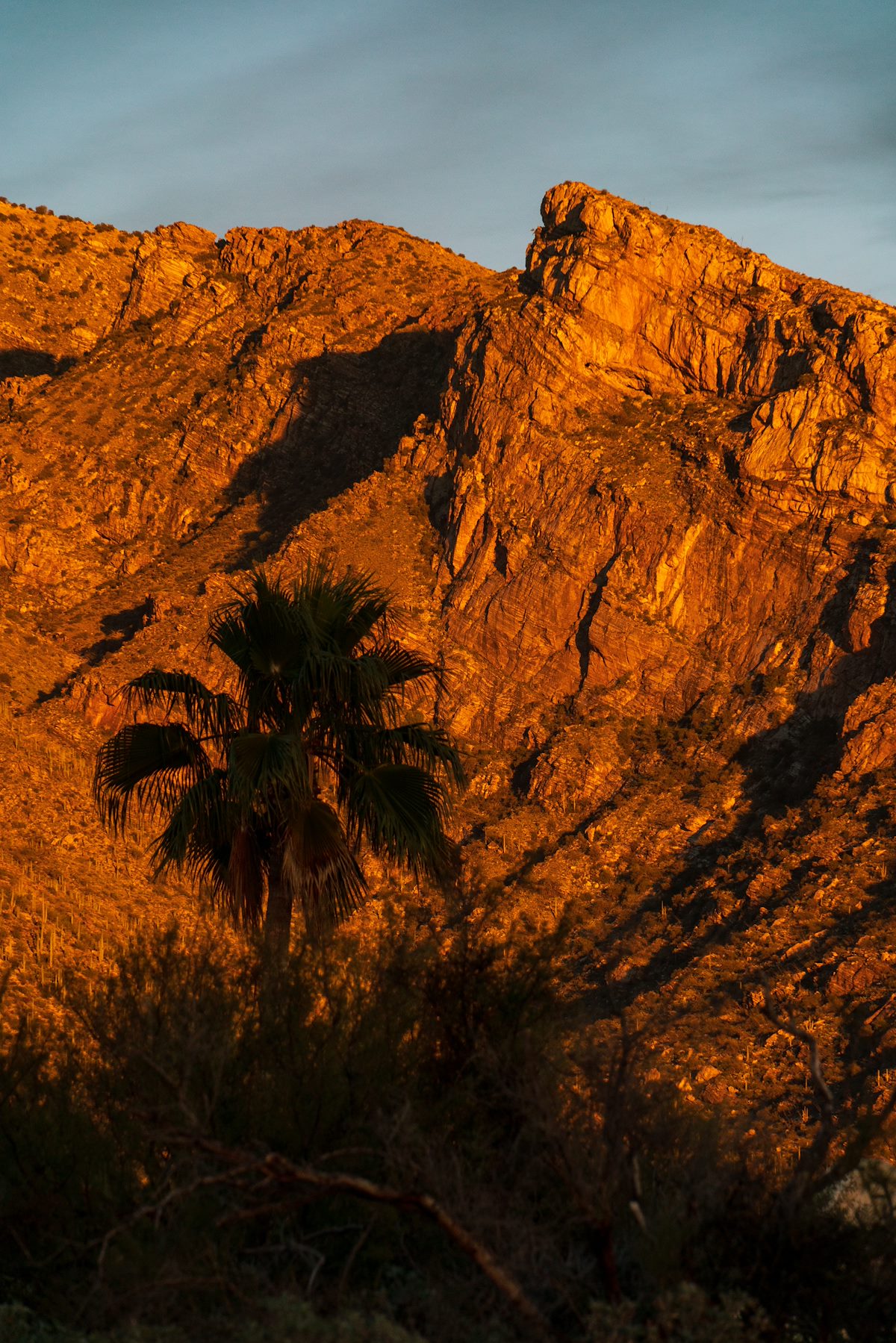 2018 December Pontatoc Ridge from the North Campbell Trailhead 01