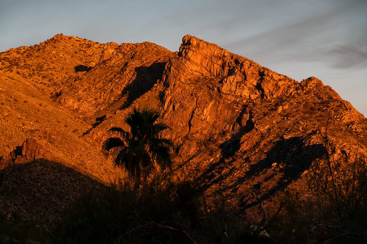 2018 December Pontatoc Ridge from the North Campbell Trailhead 02