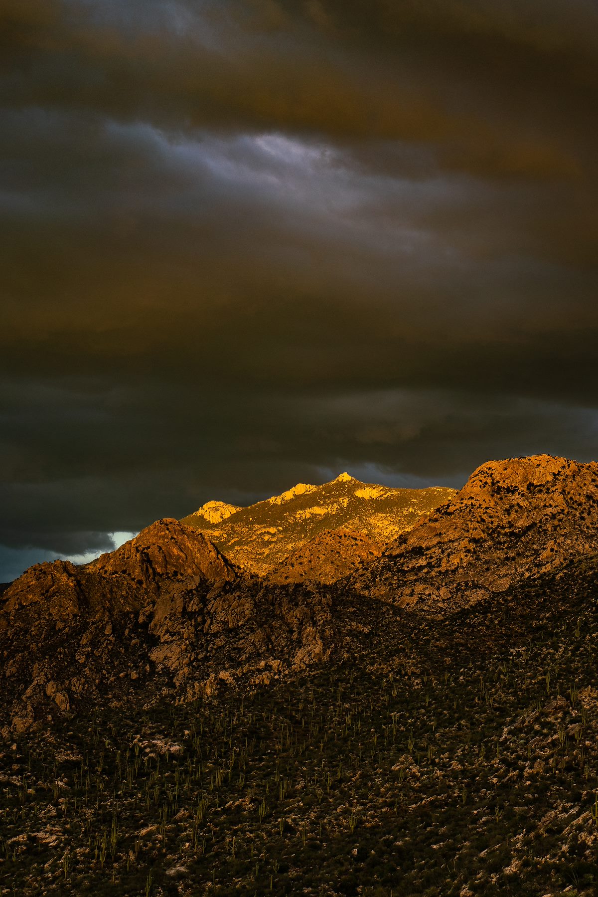 2018 December Samaniego Peak from the trail up to Buster Mountain