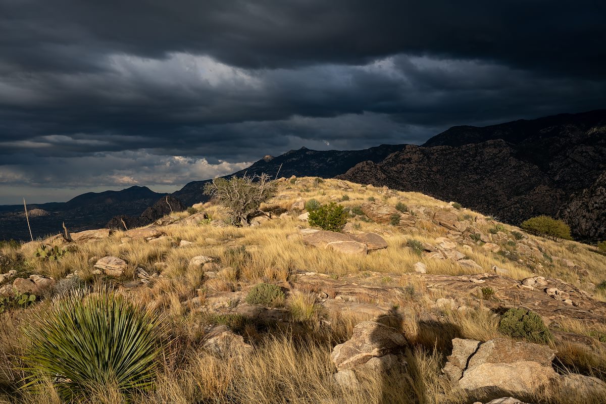 2018 December The top of Buster Mountain
