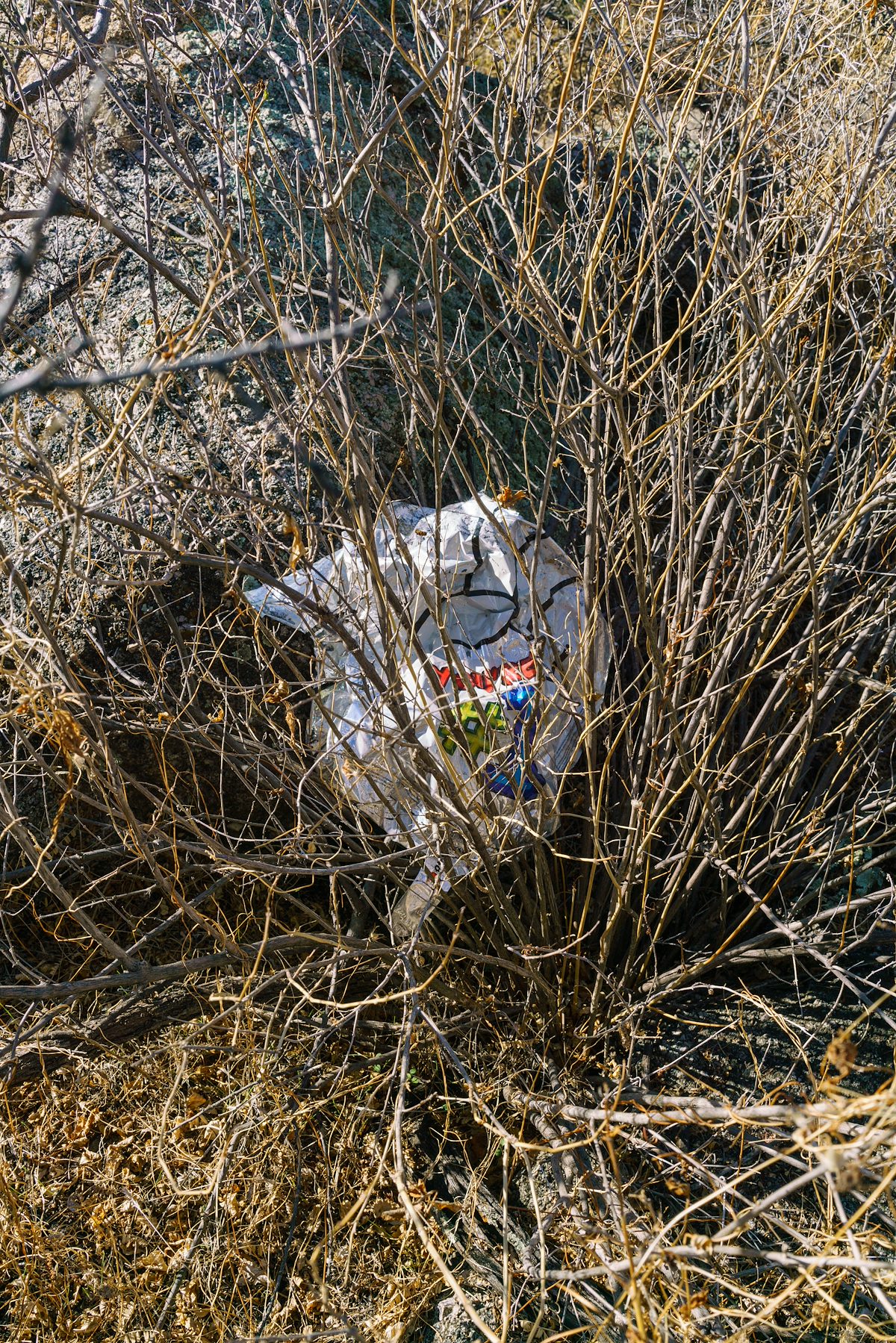 2018 February Balloon Trash near Sutherland Wash