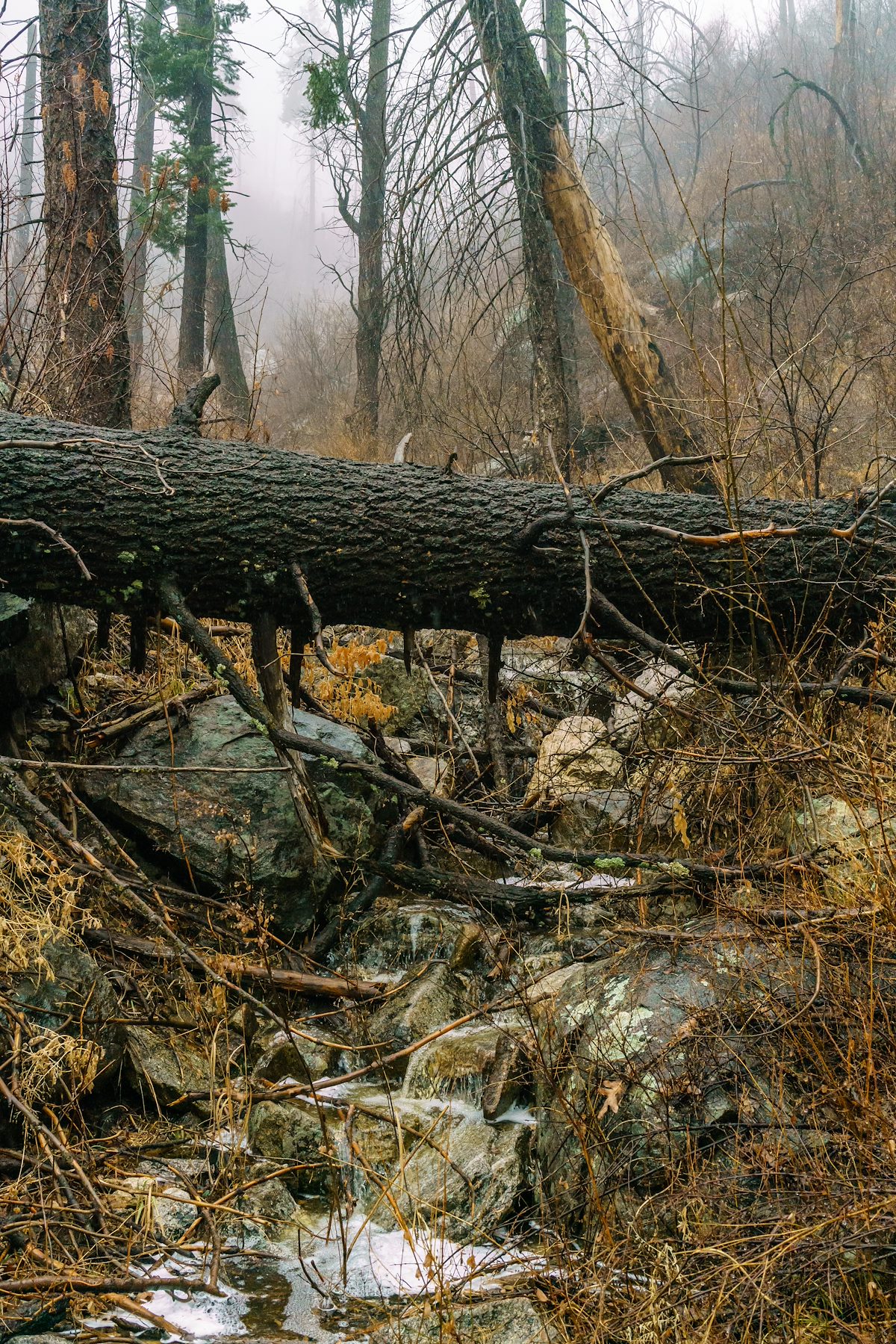 2018 February Crossing a small stream on the Knagge Trail