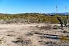 2018 February Crossing the Brush Corral Road on or near the Sunzia Route