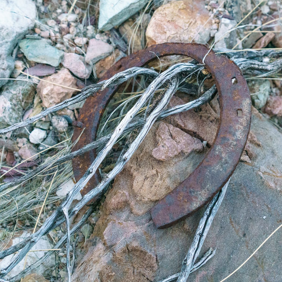 2018 February Horsehoe in a small drainage in Buehman Canyon