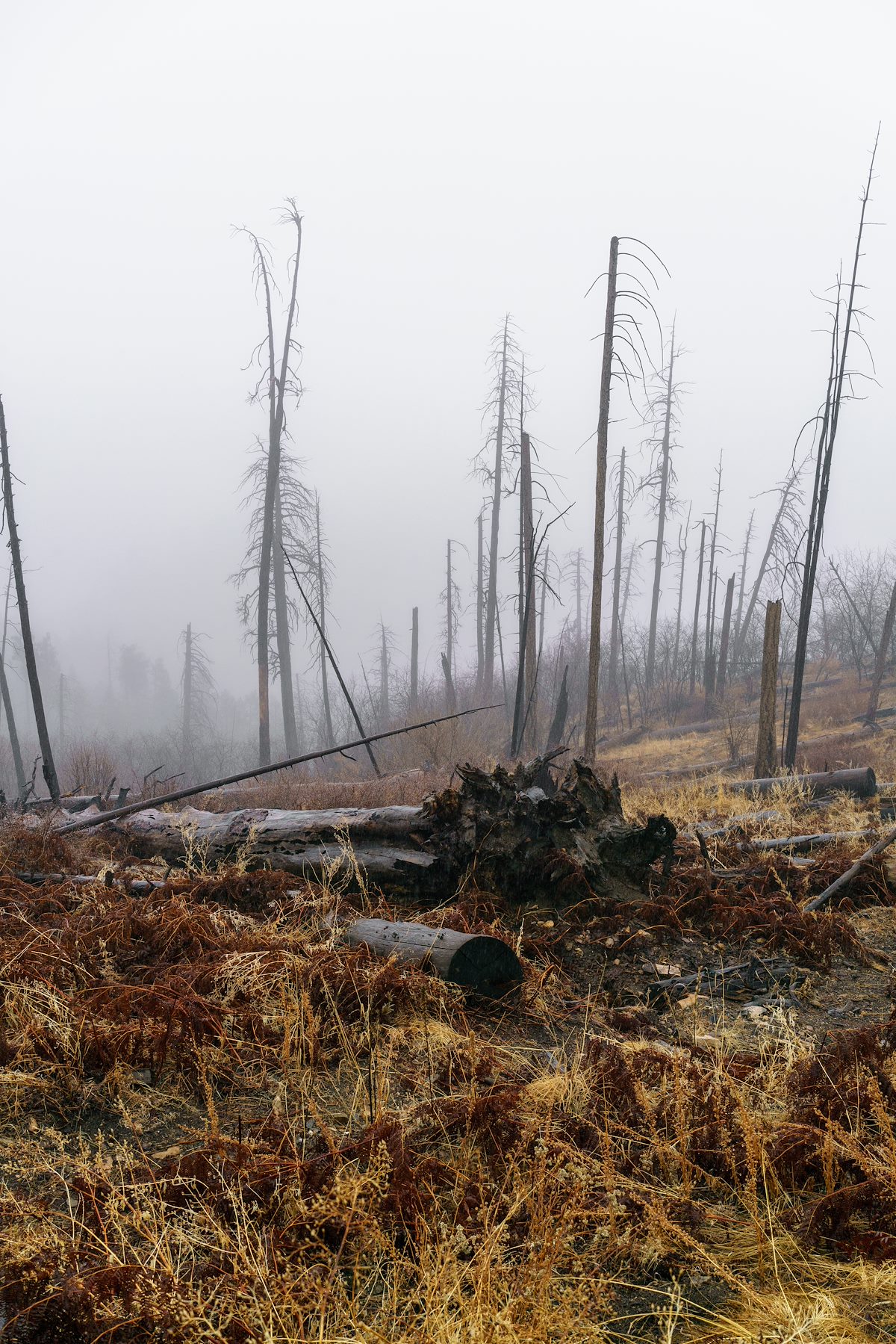 2018 February Looking down into the clouds near the top of the Knagge Trail