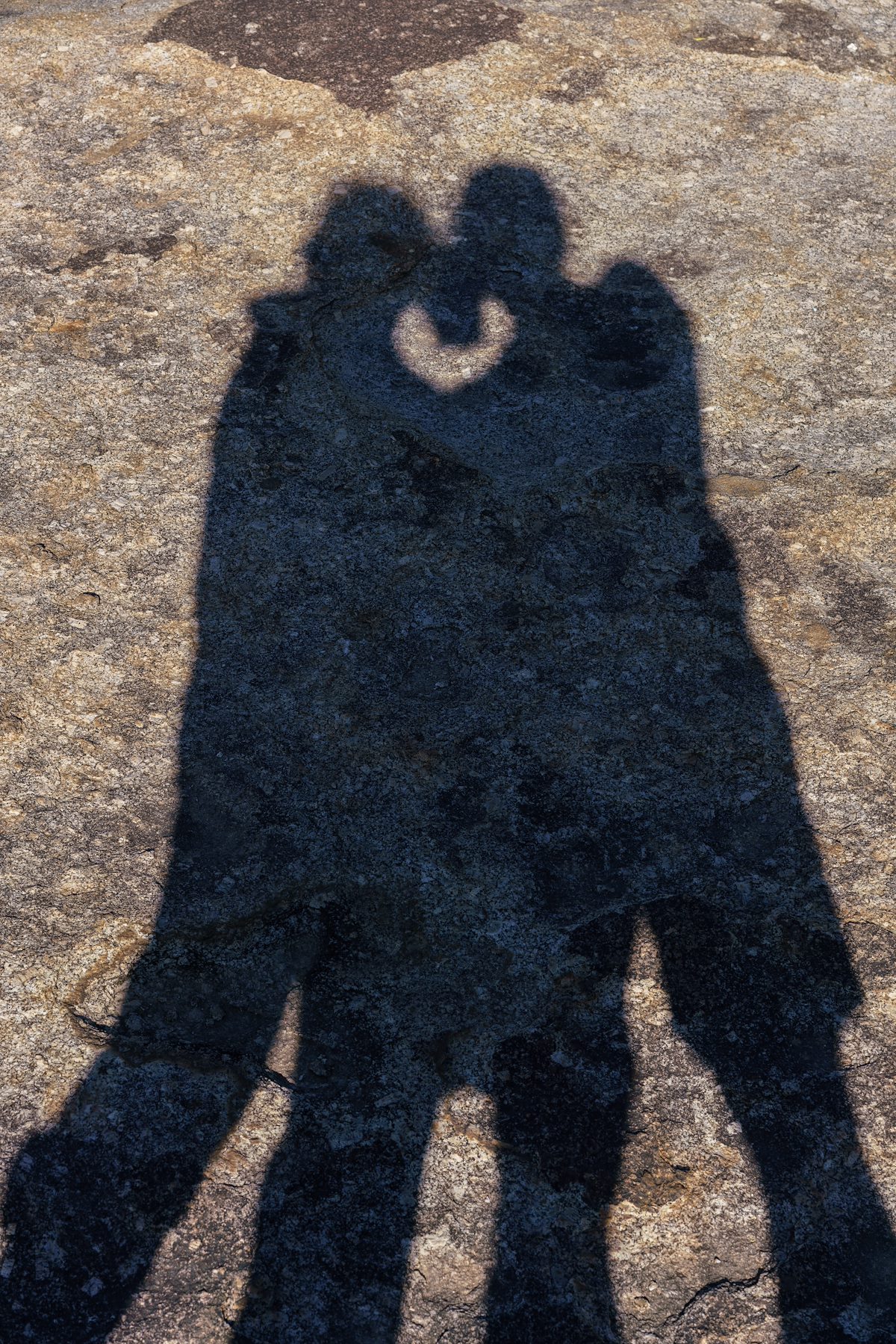 2018 February Loving Shadows