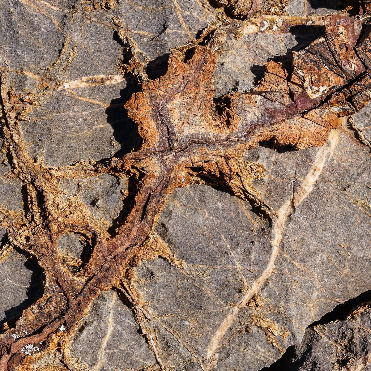 2018 February Rock along the SunZia Route 03