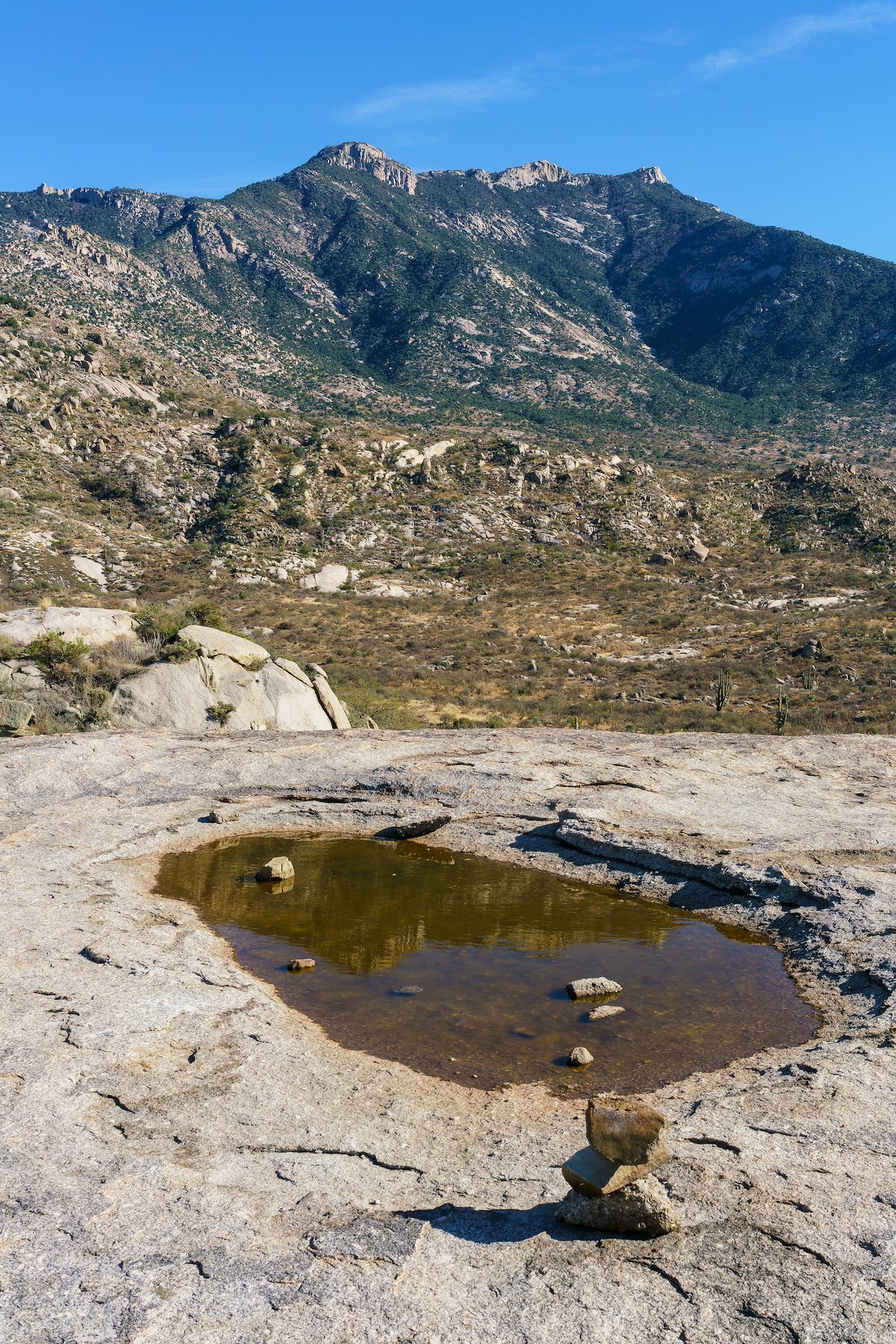 2018 February Samaniego Reflection