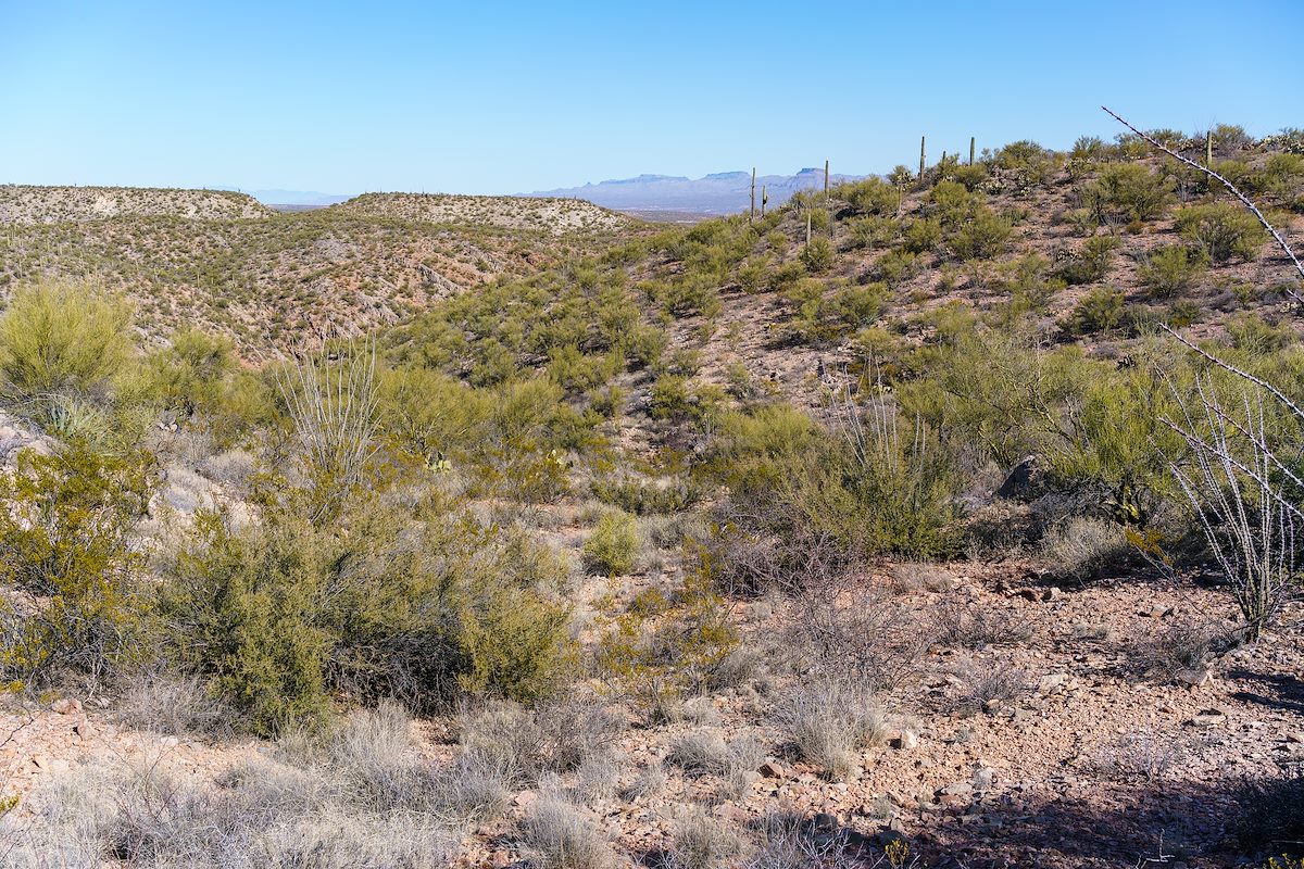 2018 February SunZia Route running North towards the edge of Edgar Canyon