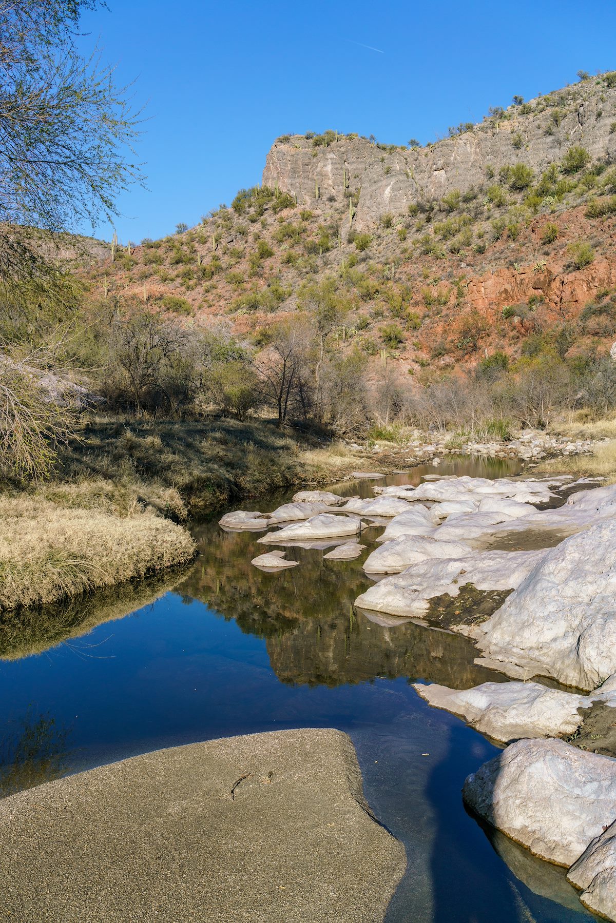2018 February Water in Cliffs in Buehman Canyon