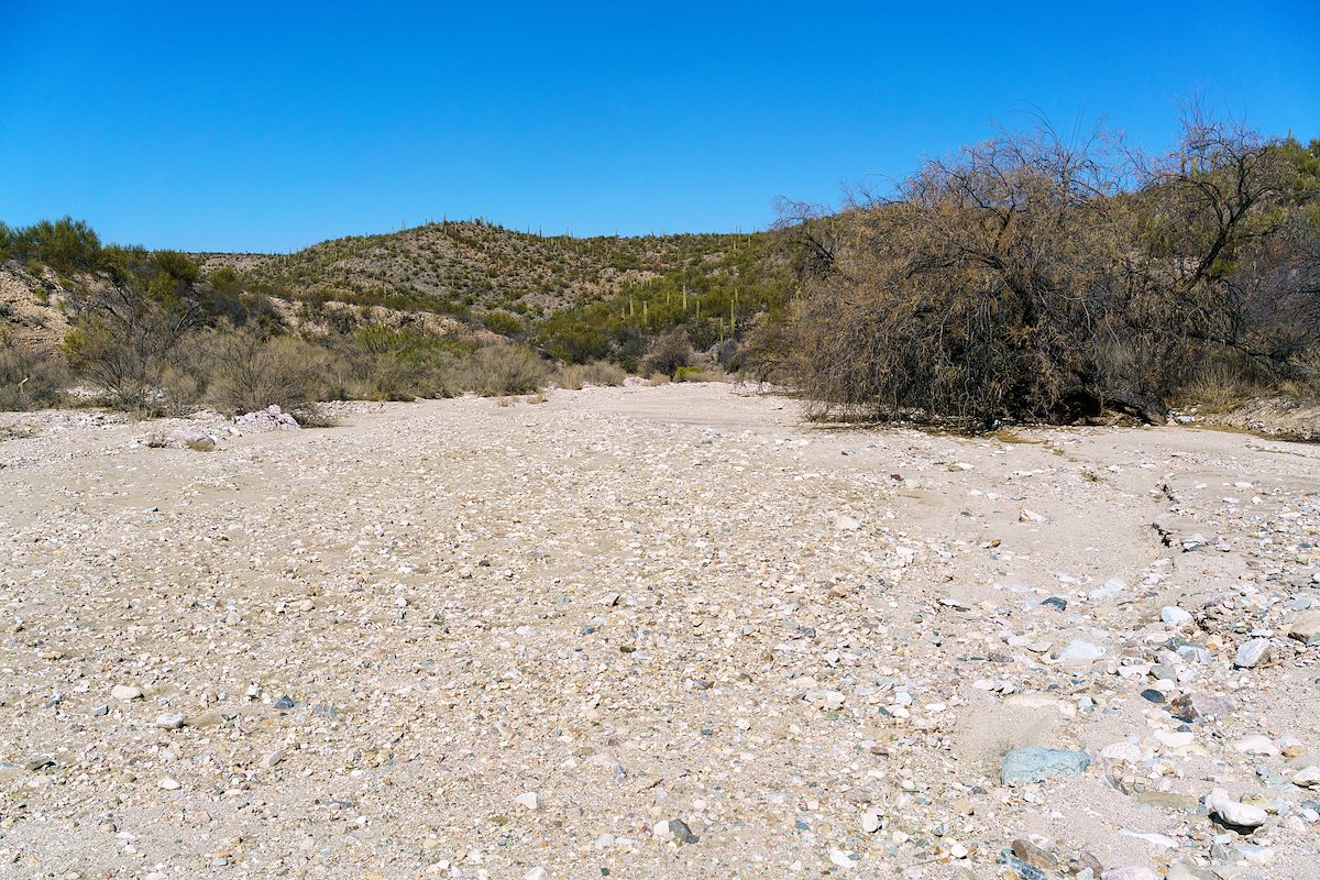 2018 February Wide Sandy Wash South of Edgar Canyon