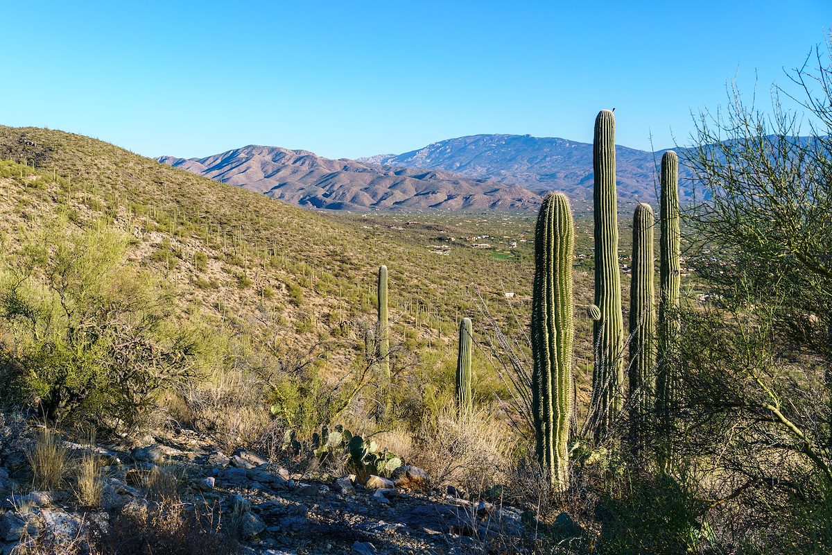2018 January Agua Caliente Hill and Mica Mountain from Point 3250 East of Bear Canyon