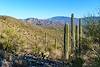 2018 January Agua Caliente Hill and Mica Mountain from Point 3250 East of Bear Canyon