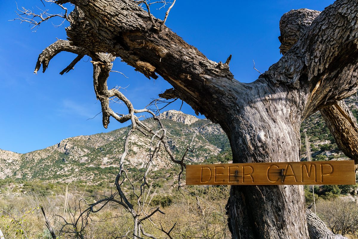 2018 January Deer Camp Sign