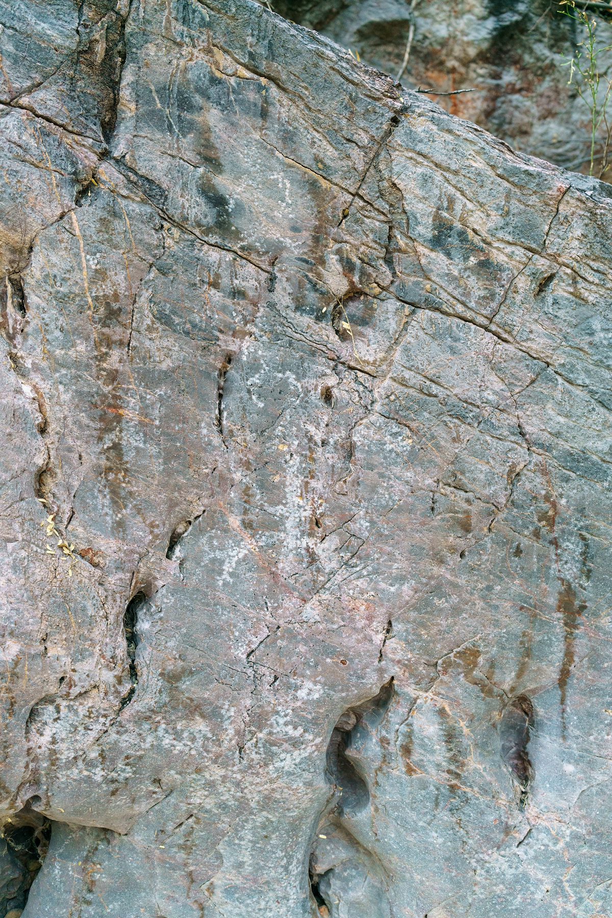 2018 January East Side Petroglyphs 02