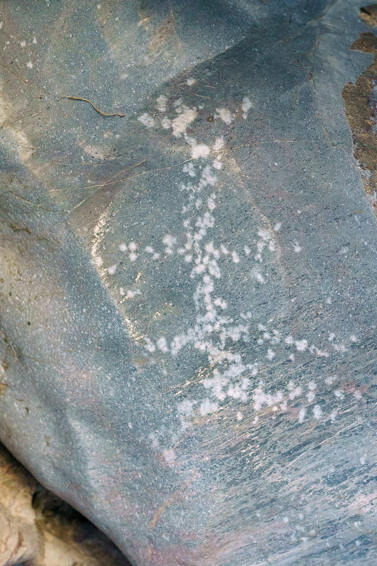 2018 January East Side Petroglyphs 06