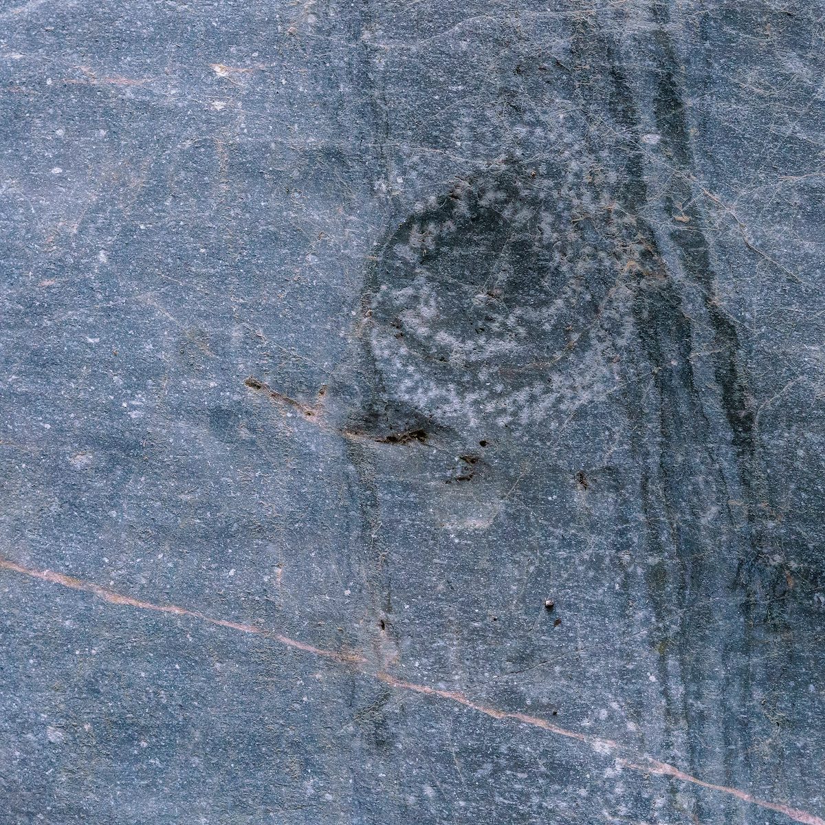 2018 January East Side Petroglyphs 07