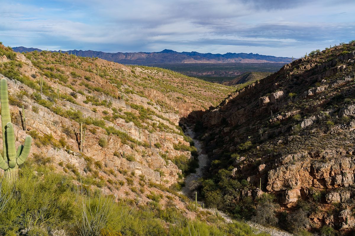2018 January Edgar Canyon a Couple of Miles West of the San Pedro River
