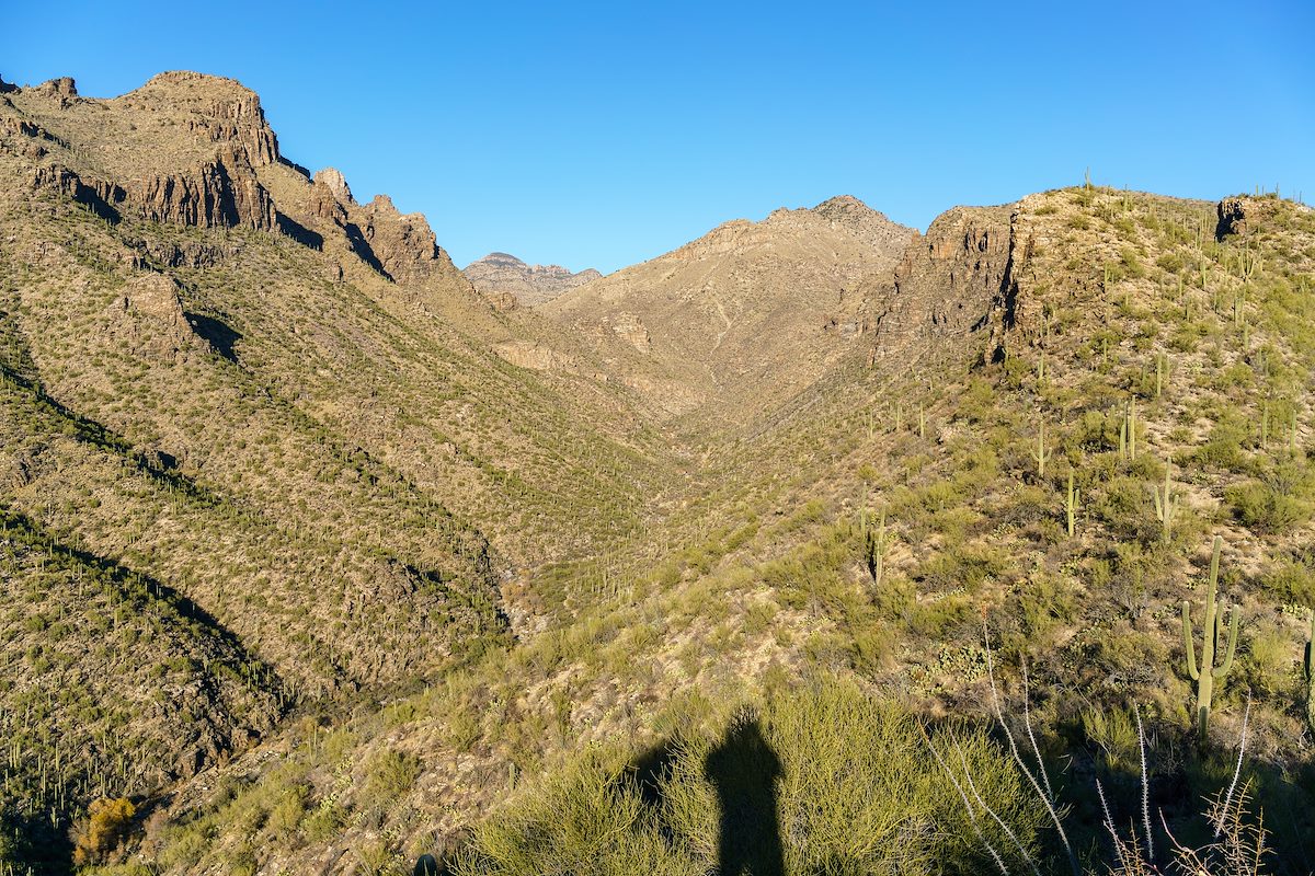 2018 January Looking up Bear Canyon with Gibbon Mountain on the Skyline from Point 3250 above Bear Canyon