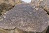 2018 January Petroglyphs 01