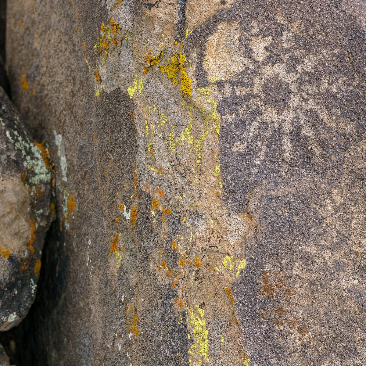 2018 January Petroglyphs 04