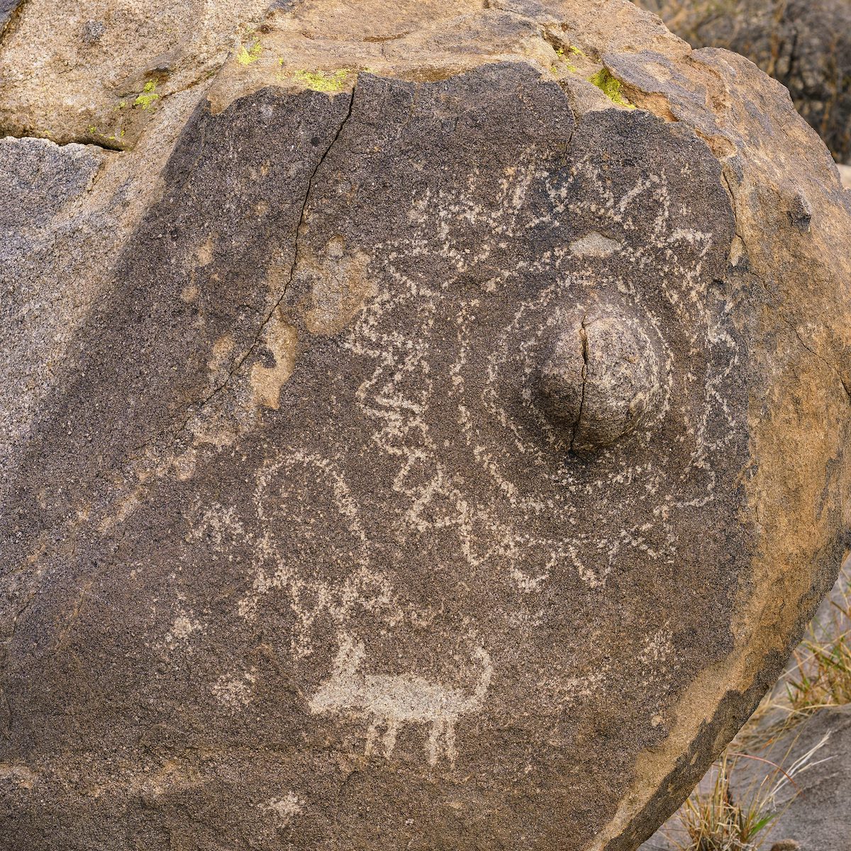 2018 January Petroglyphs 05