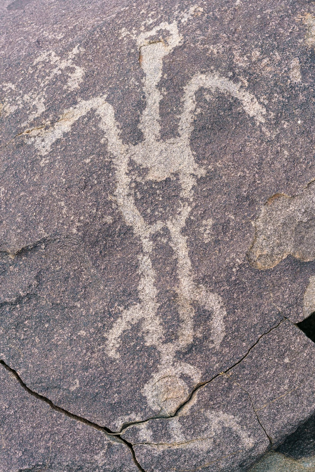 2018 January Petroglyphs 11