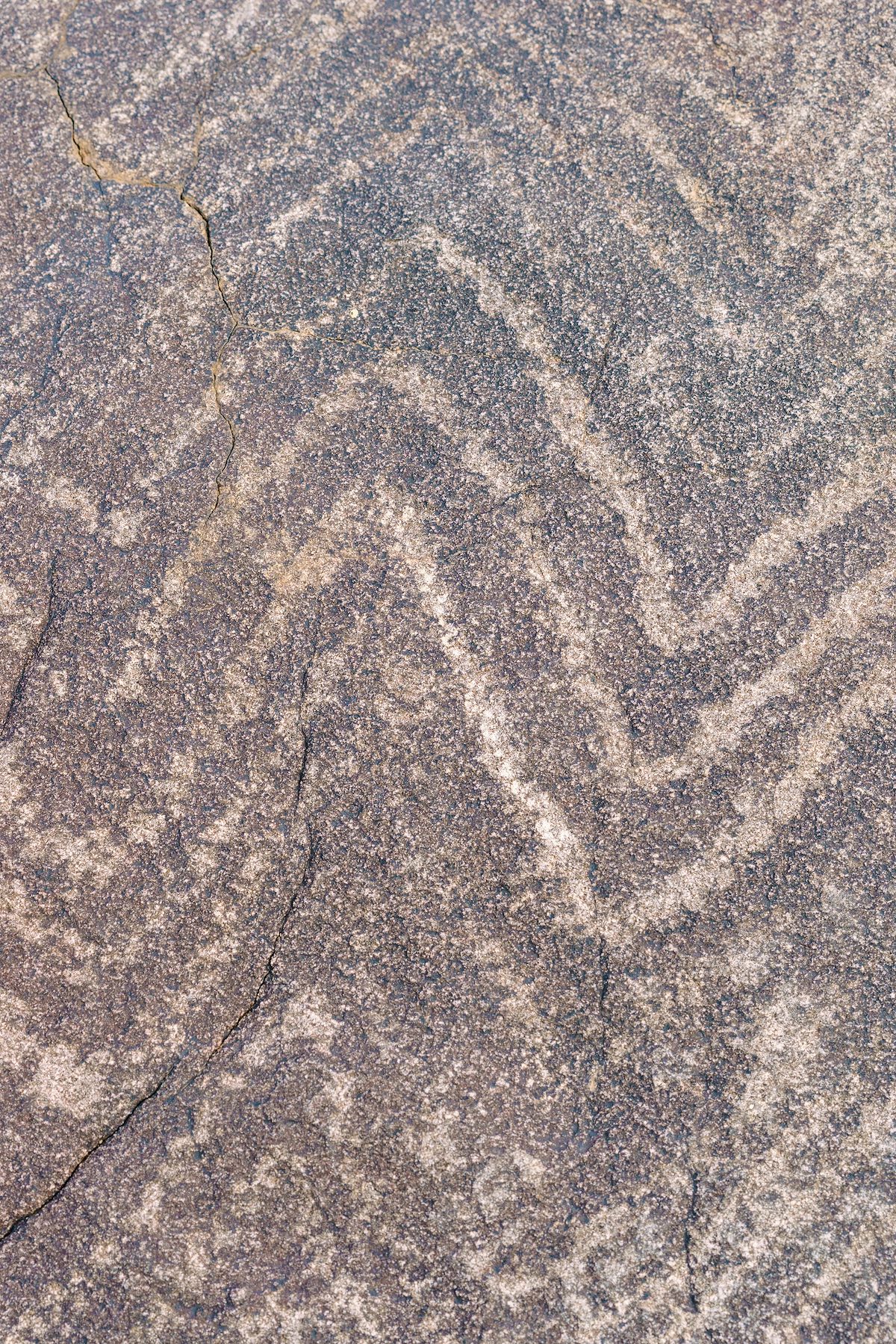 2018 January Petroglyphs 12