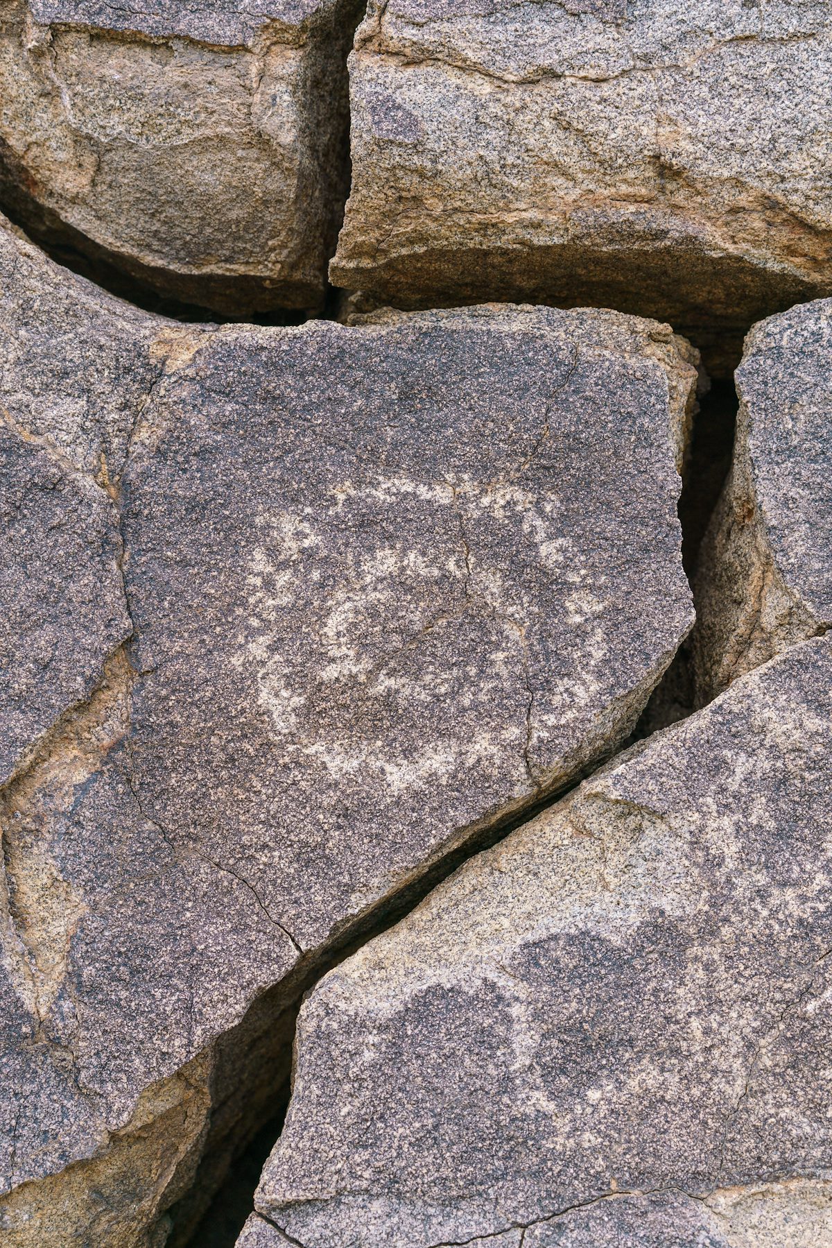 2018 January Petroglyphs 14