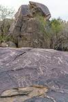 2018 January Petroglyphs 17